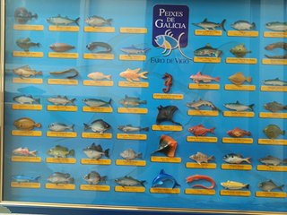 Cuadro Peixes de Galicia Relieve Nuevo