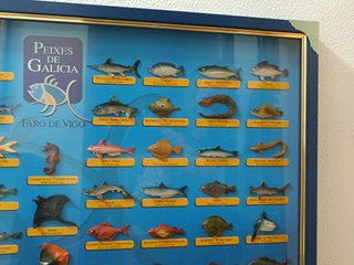 Cuadro Peixes de Galicia Relieve Nuevo
