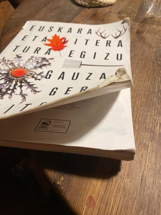 Euskara eta literatura, 4, DBH ibaizabal