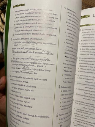 Euskara eta literatura, 4, DBH ibaizabal
