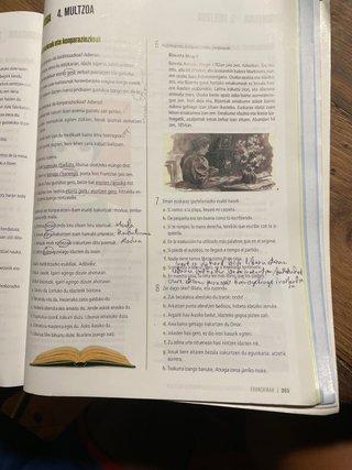 Euskara eta literatura, 4, DBH ibaizabal