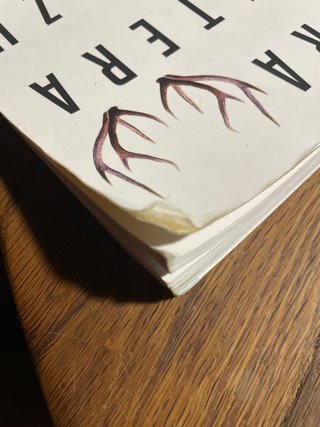 Euskara eta literatura, 4, DBH ibaizabal