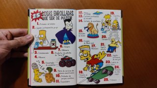 Guía para la Vida_Bart Simpson_1ª Edición Original