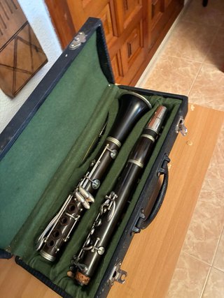 Clarinete profesional en estuche
