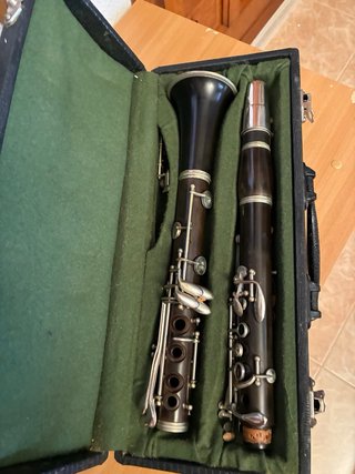 Clarinete profesional en estuche