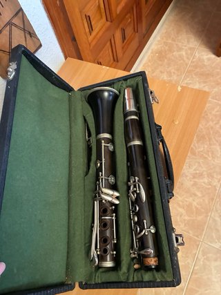 Clarinete profesional en estuche
