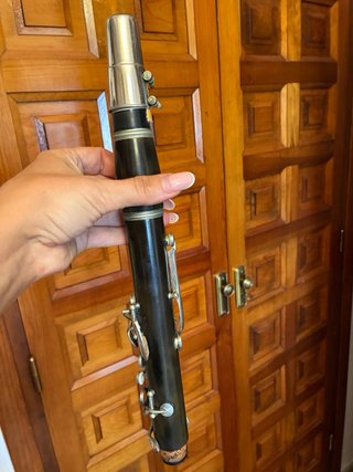 Clarinete profesional en estuche