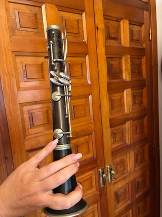 Clarinete profesional en estuche