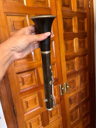 Clarinete profesional en estuche