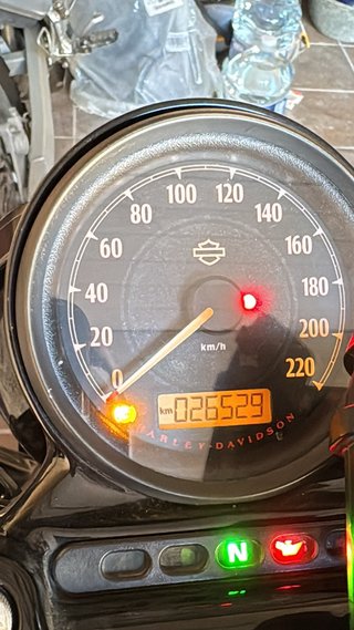 Harley Davidson Sportster Forty Eight 1200cc