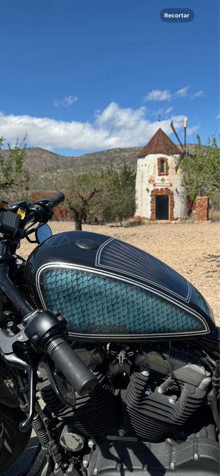 Harley Davidson Sportster Forty Eight 1200cc