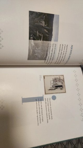 Josep Carner i Carles Riba l'aventura de dos po...