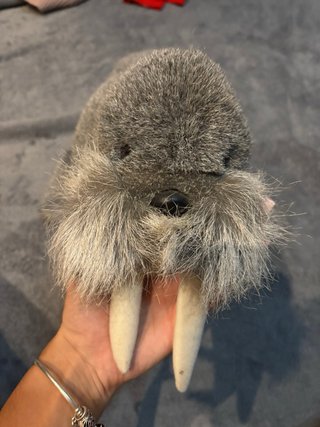 Peluche Morsa