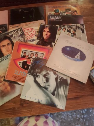 Lote Vinilos Antiguos