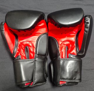 Guantes Boxeo Everlast 12oz