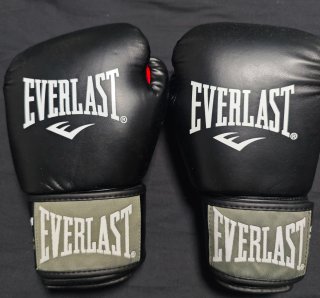 Guantes Boxeo Everlast 12oz