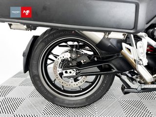 TRIUMPH TIGER 900 GT PRO 2025 9002 kms.