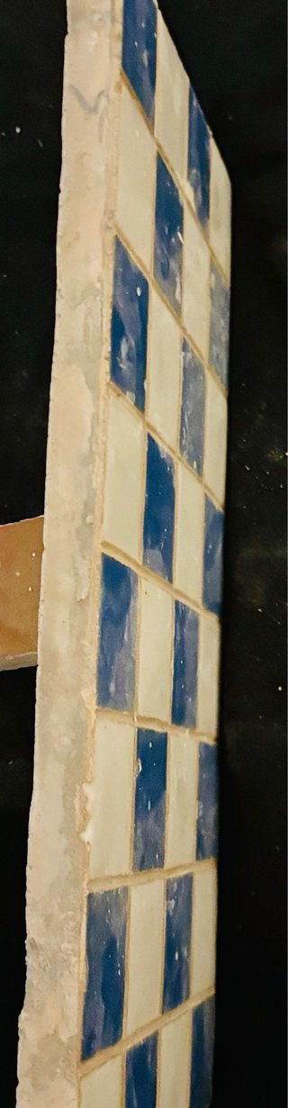 Azulejos , hay bastantes .... quiza son nuevos no?