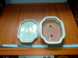 Maceta de bonsai  beige nueva