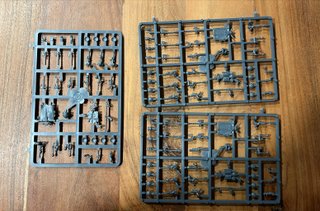 The Old World Dwarf Quarrellers (16)