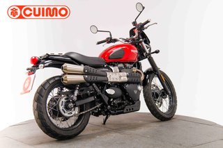 TRIUMPH SCRAMBLER 900