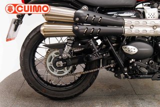 TRIUMPH SCRAMBLER 900