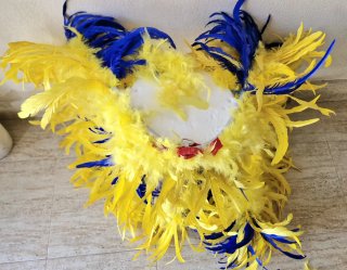 Lote de 2 Alas de plumas para carnaval