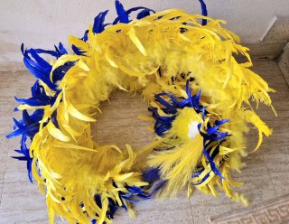 Lote de 2 Alas de plumas para carnaval