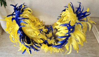 Lote de 2 Alas de plumas para carnaval