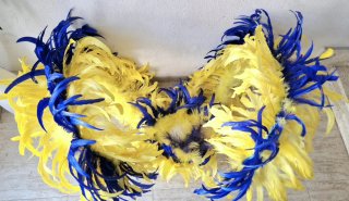 Lote de 2 Alas de plumas para carnaval