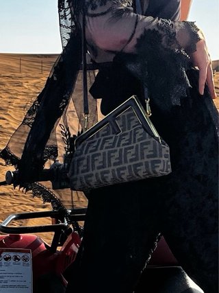 Bolso Fendi Marrón y Dorado