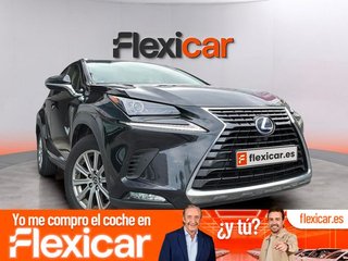 Lexus NX 2.5 300h Business 2WD