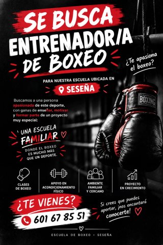 Entrenador boxeo, Seseña
