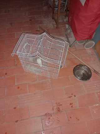 Lote jaulas pájaros
