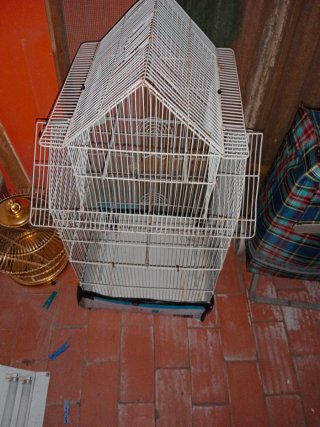 Lote jaulas pájaros