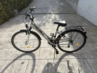 Bicicleta de trekking plateada