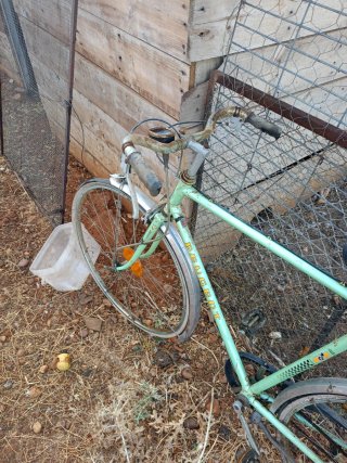 Lote de bicicletas antiguas