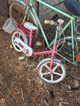 Lote de bicicletas antiguas