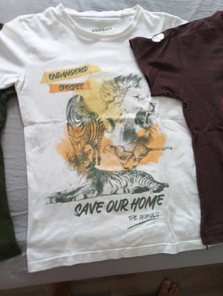 Lote 8 Camisetas Algodón Estampadas nin@s