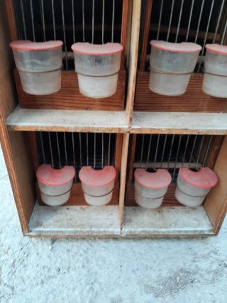 Transportín Jilgueros Marrón y Blanco