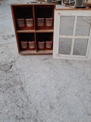 Transportín Jilgueros Marrón y Blanco