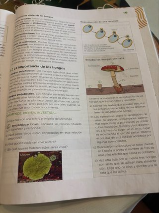 Biología y Geología 1 ESO