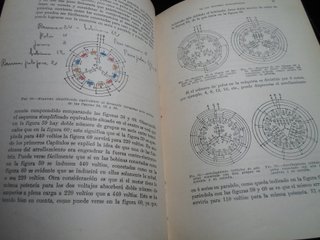 Motores Asincrónicos - Devanados y Conexiones