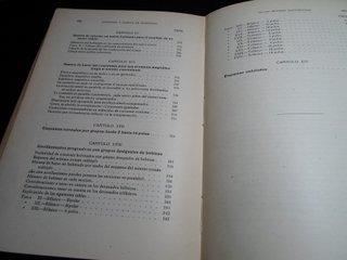 Motores Asincrónicos - Devanados y Conexiones