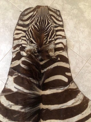 Alfombra Cebra Natural Tanzania Producto exclusivo