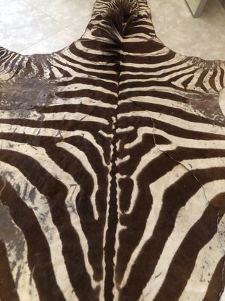 Alfombra Cebra Natural Tanzania Producto exclusivo