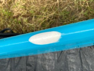 Christenson Dead Sled Longboard 9'6