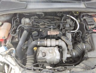 1813179 tapa motor ford f1fq-6a949-a focus lim.