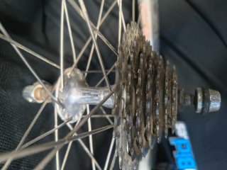 Ruedas 26" DX formula DX 23 mavic