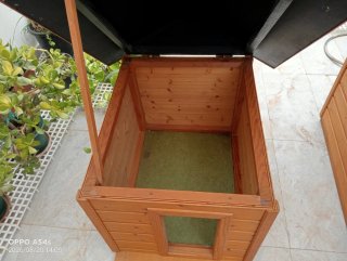 Caseta de madera para perro